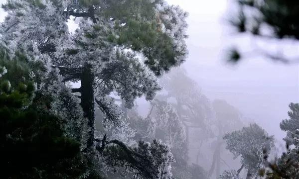 如今古装剧为何出不了经典美女？“流量”该背锅吗？