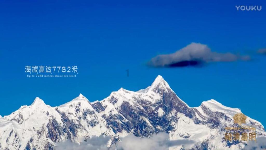 脑洞小老弟无实名认证