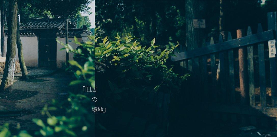 小猫钓鱼开船版最新版下载