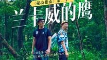 寻找遗失的车钥匙