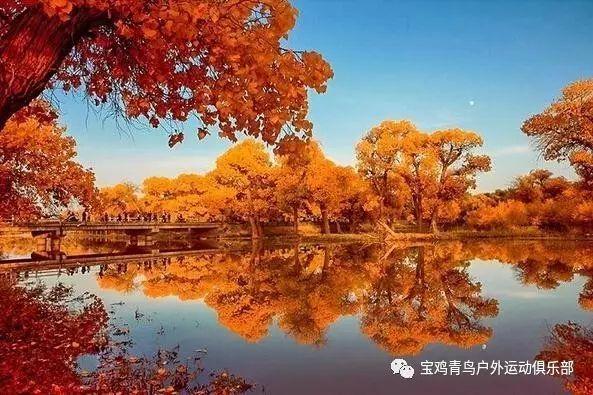 They+are+school+trip+and+singing+contents用问句怎么回答？游戏画面