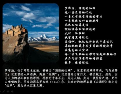 时尚潮流公主