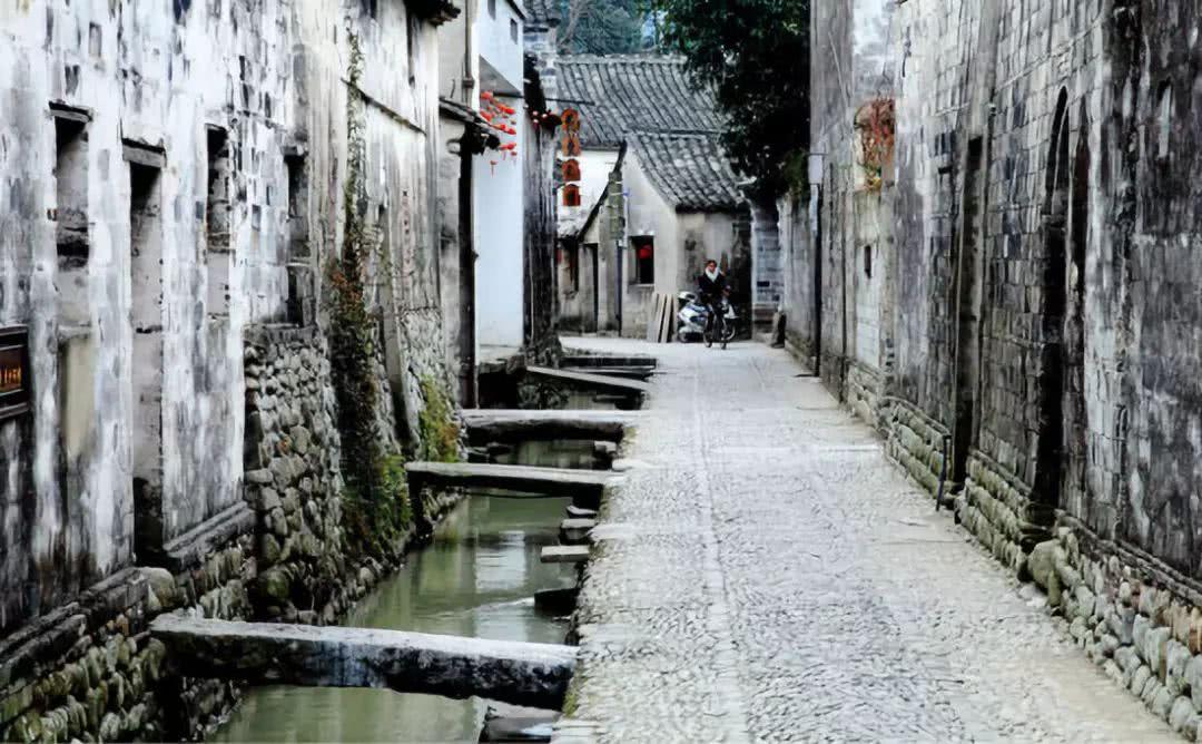 拯救机灵鸟