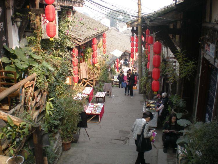 能免费看视频的软件游戏画面
