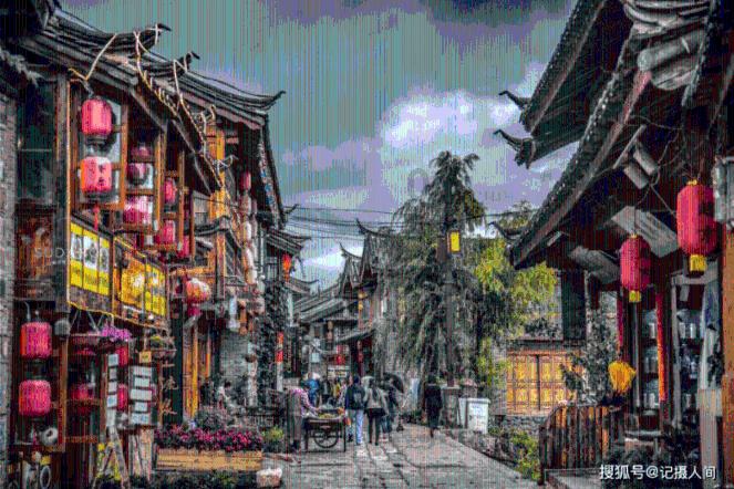动物帮帮忙保卫家园